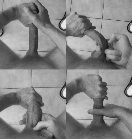 Flexible penis to increase the size of an organ
